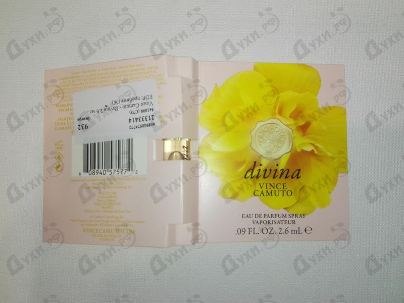 divina vince camuto